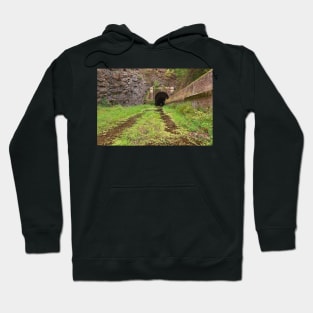 Paw Paw Tunnel Hoodie